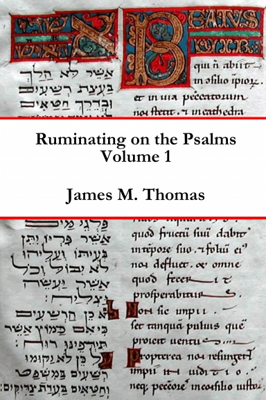 Ruminating on the Psalms, Volume 1