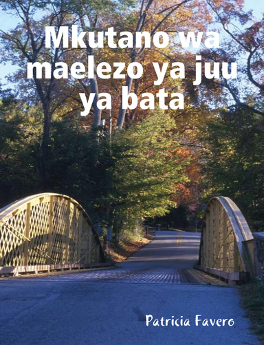 Mkutano wa maelezo ya juu ya bata