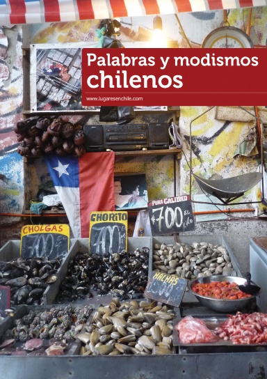 Palabras y modismos chilenos
