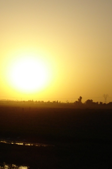 Dust & Sunlight