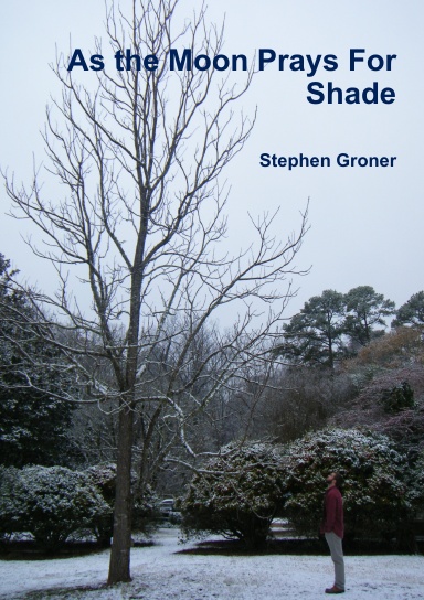 As the Moon Prays For Shade