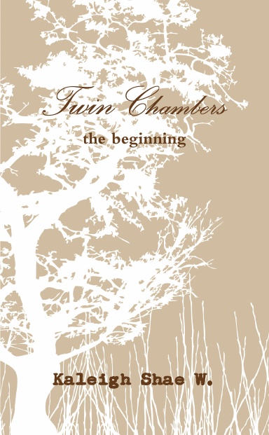Twin Chambers, the beginning.