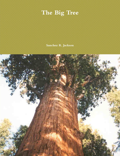 The Big Tree