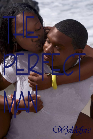 THE PERFECT MAN