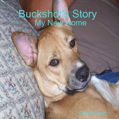 Buckshot's Story,  My new home
