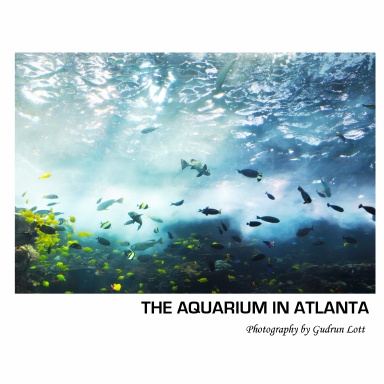 The Aquarium in Atlanta