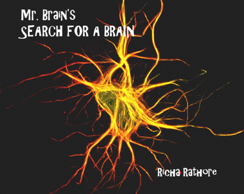 A Journey Through The Brain
