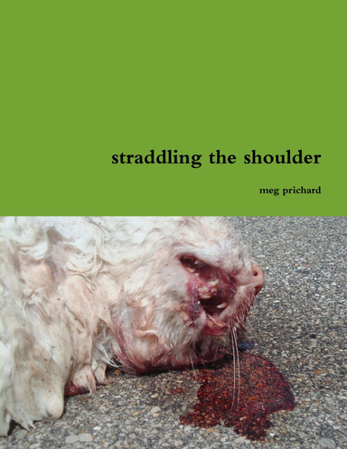 straddling the shoulder