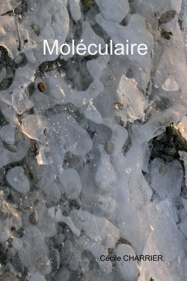 Moléculaire