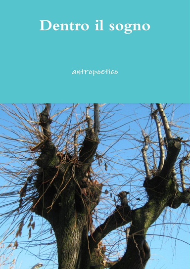 Dentro il sogno