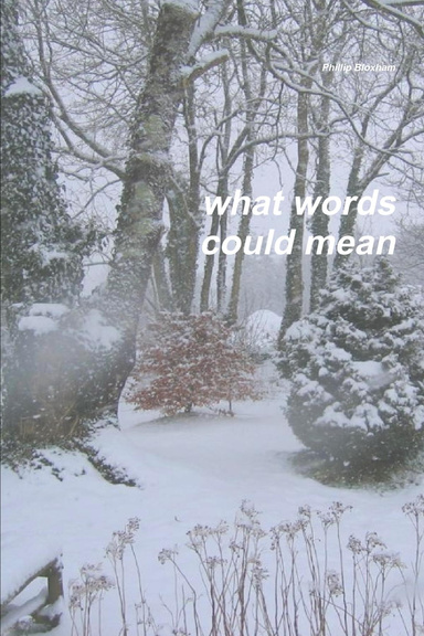 What Words Could Mean