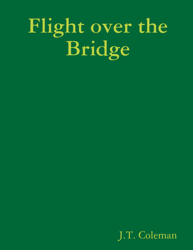 Flight over the Bridge