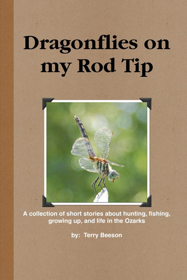 Dragonflies on my Rod Tip