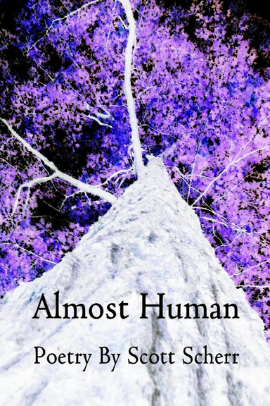 Almost Human