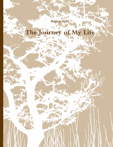 The Journey Of My Life