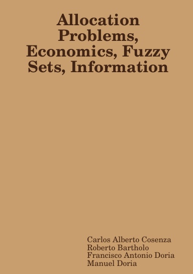 Allocation Problems, Economics, Fuzzy Sets, Information