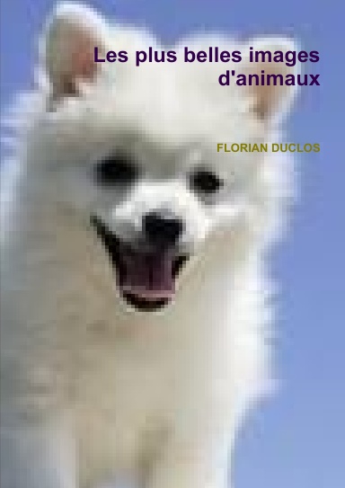 Les plus belles images d'animaux
