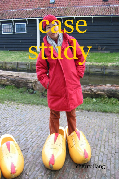 case study