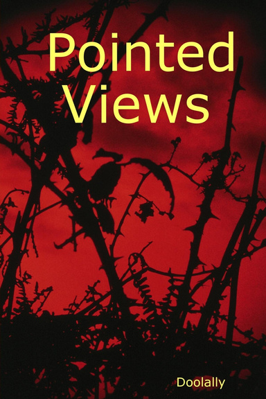 Pointed Views