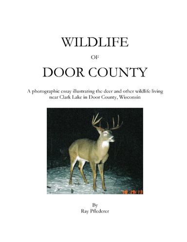 Wildlife of Door County