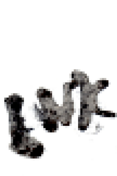 Ink
