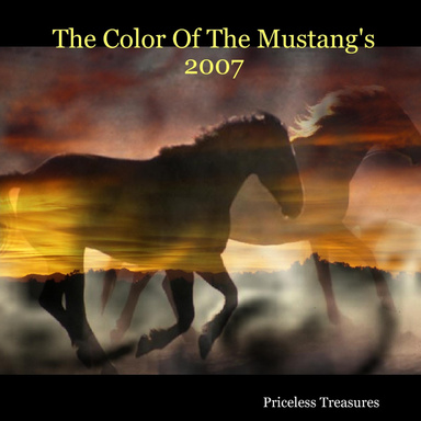 The Color Of The Mustang's 2007