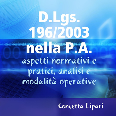 D.Lgs. 196/2003 nella P.A.: aspetti normativi e pratici, analisi e modalità operative