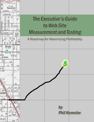 The Executive's Guide to Web Site Measurement and Testing...A Roadmap for Maximizing Profitability