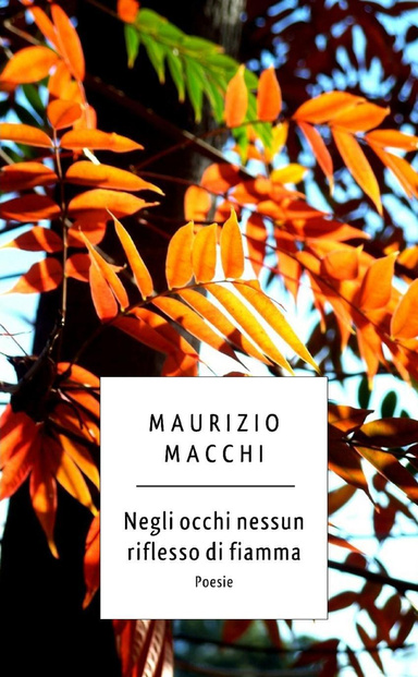 Negli occhi nessun riflesso di fiamma - Poesie