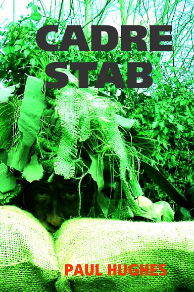 CADRE STAB