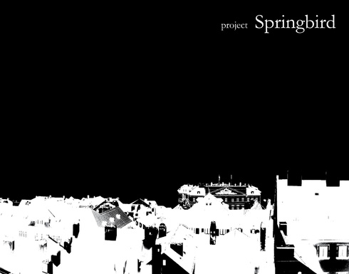 Project Springbird