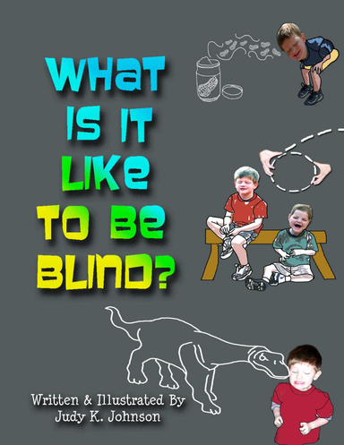 What Is It Like To Be Blind?