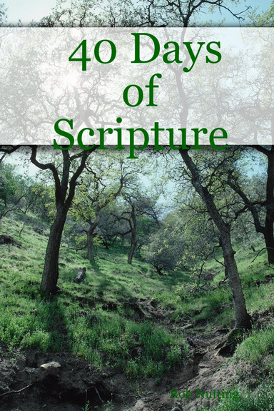 40 Days of Scripture