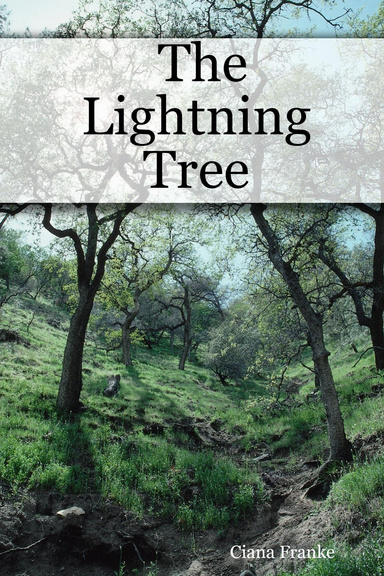 The Lightning Tree