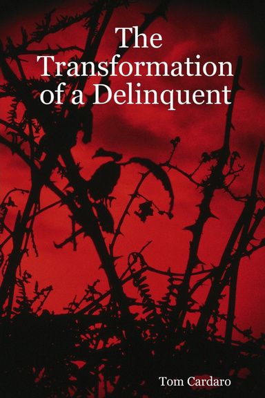 The Transformation of a Delinquent
