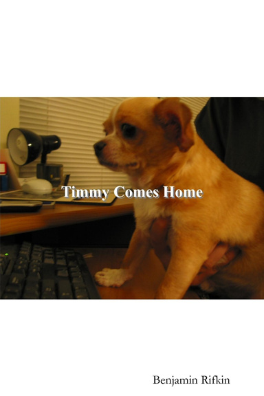 Timmy Comes Home