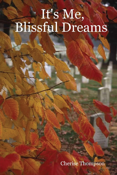 It's Me, Blissful Dreams