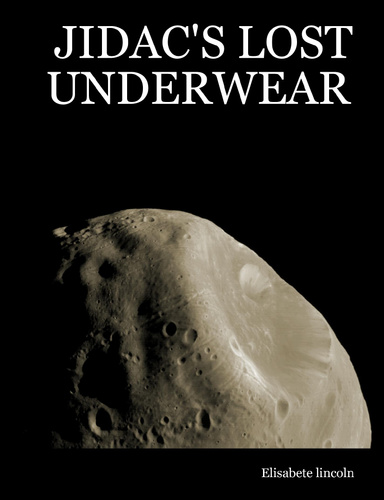 JIDAC'S LOST UNDERWEAR