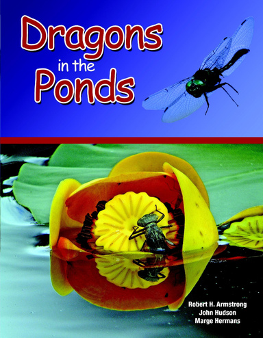 Dragons in the Ponds 3