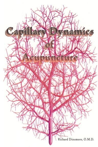 Capillary Dynamics of Acupuncture