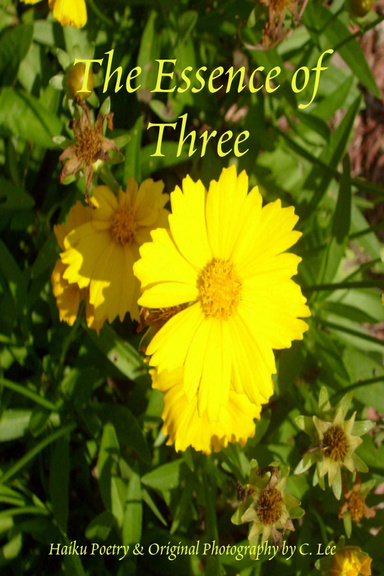 The Essence of Three