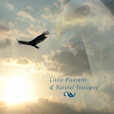 Little Pleasures & Natural Treasures