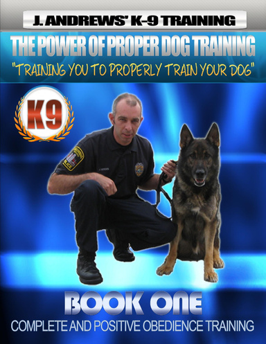 Complete and Positive Obedience