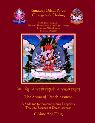 Chime Sog Tig Practice -lg