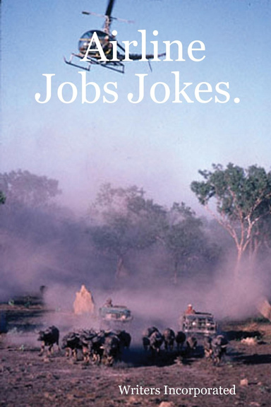 Airline Jobs Jokes.