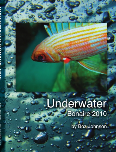 Bonaire Underwater 2010