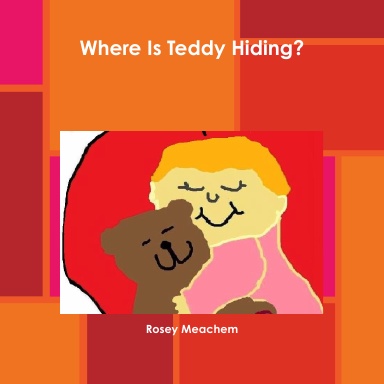 Where Is Teddy Hiding?