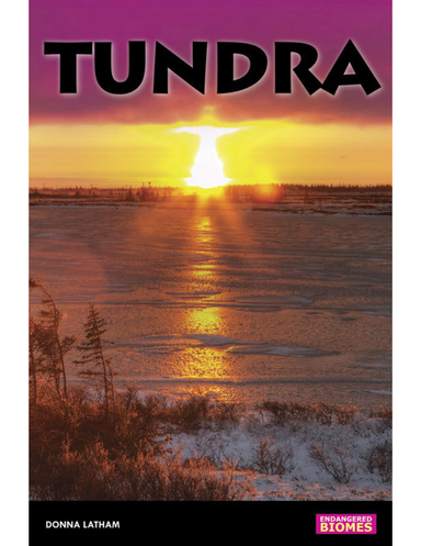Endangered Biomes: Tundra