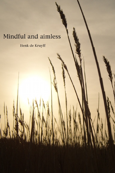 Mindful and aimless