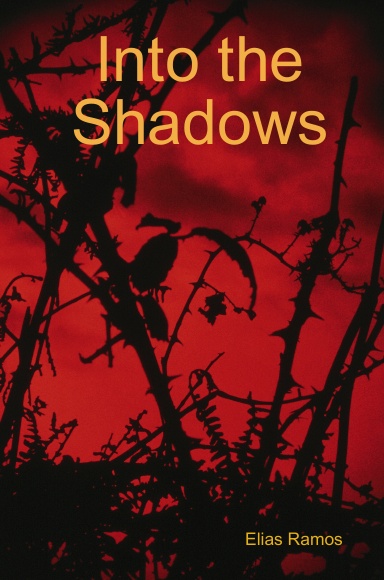 Into the Shadows